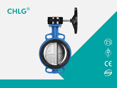 turbine butterfly valve - to the clamp