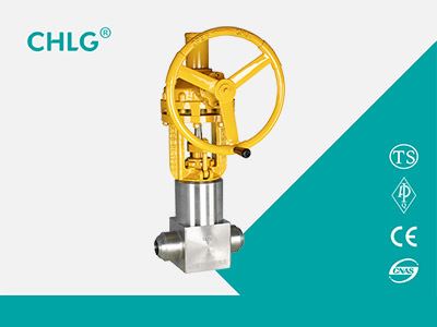 Forged Steel Stainless Steel Gate Valve