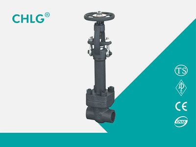 Extend Stem Gate Valve