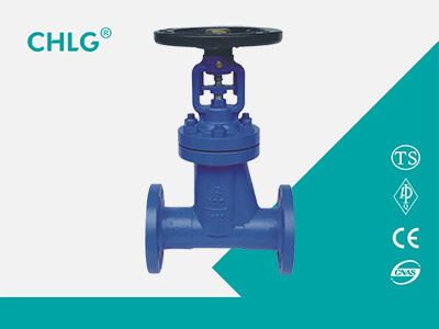 Bellows Sealed Globe Valve