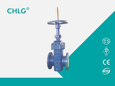 Special Valve for Oil Field