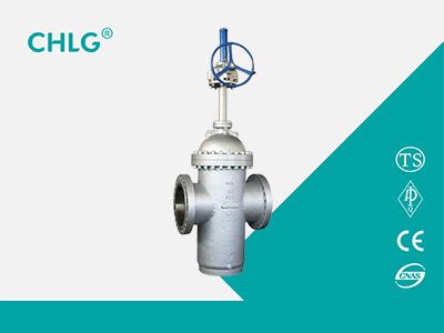 Special Valve for Oil Field