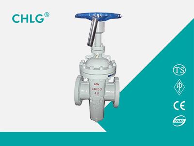 Special Valve for Oil Field