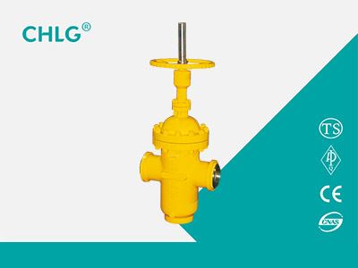 Special Valve for Oil Field