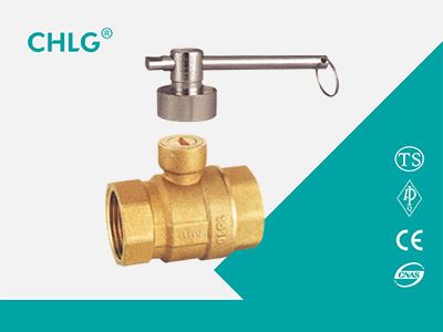 Lock Gate Valve