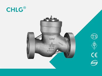 Lift Check Valve