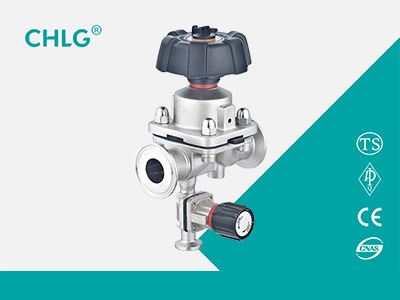 single diaphragm valve
