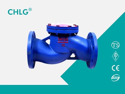 lift check valve