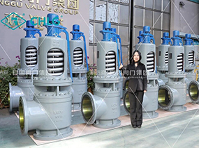 Lianggu Valve delivered a batch of high-temperature and high-pressure safety valves for the Huaneng Thermal Power Project.