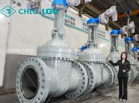 LIANGGU High-Pressure Electric Gate Valves Exported to African Mining Projects